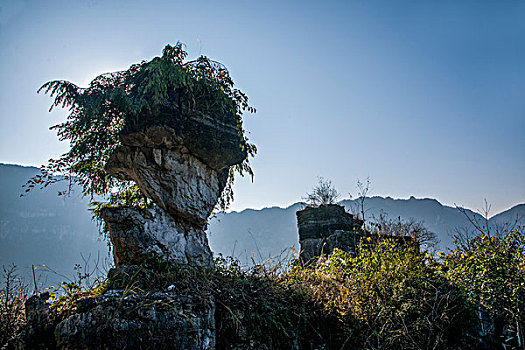 soi cầu ăn thông