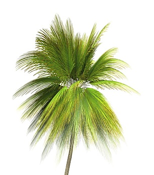 soi cầu wap 3 miền