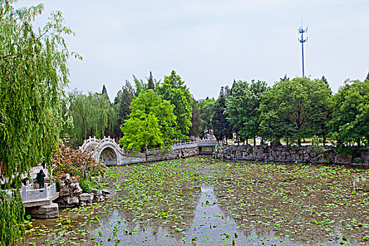 xs minh ngoc mien bac