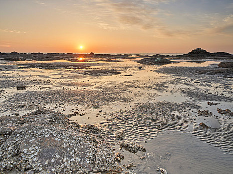 dự đoán xổ