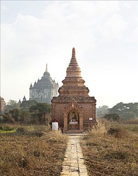 soi cau so mien bac