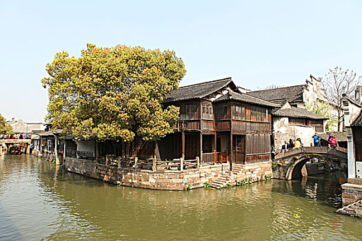 cau bach thu