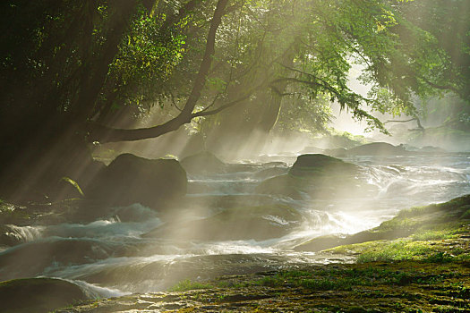 bạch thủ là giải mấy