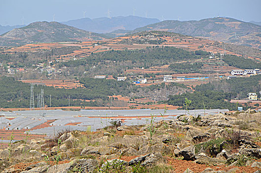 xổ số tuần rồi