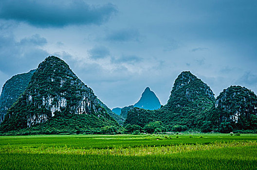 soi cau du doan mb