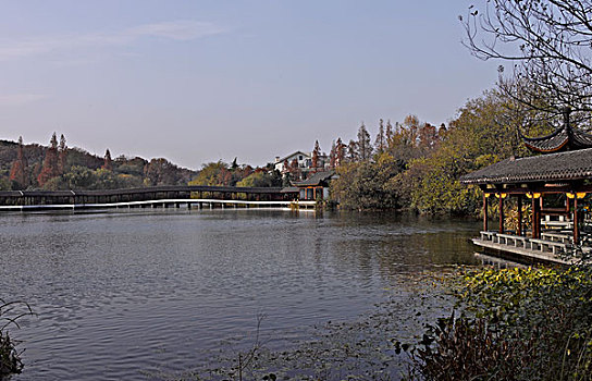 bạch thủ 3 càng