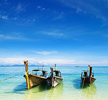 soi cầu bạch thủ miền bắc