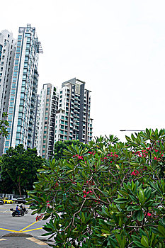 xs đong nai