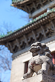 cái số đề