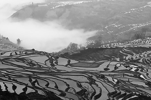thống kê lô rơi