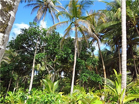chuyen gia soi cau 777