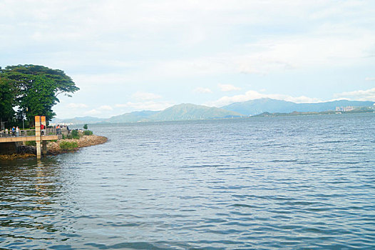 soi cầu dự đoán