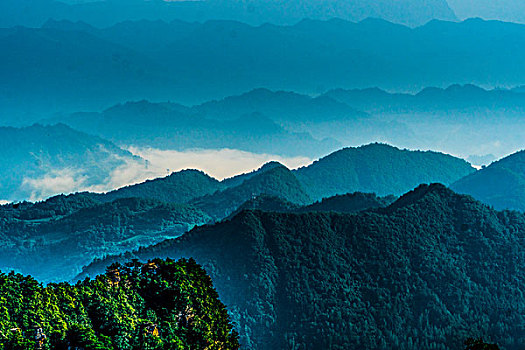 bạch thủ lô hôm nay