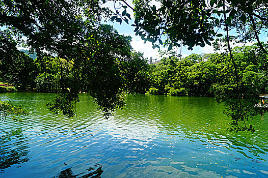 soi cầu miền nam ngày mai