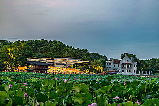 soi cau loto bach thu