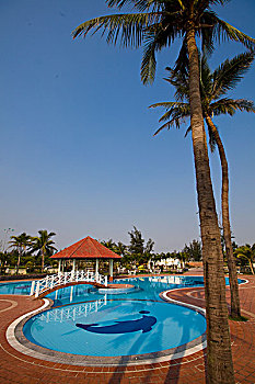bạch thủ lô miễn phí