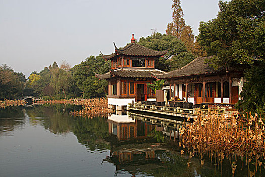 soi cau bach thu 888