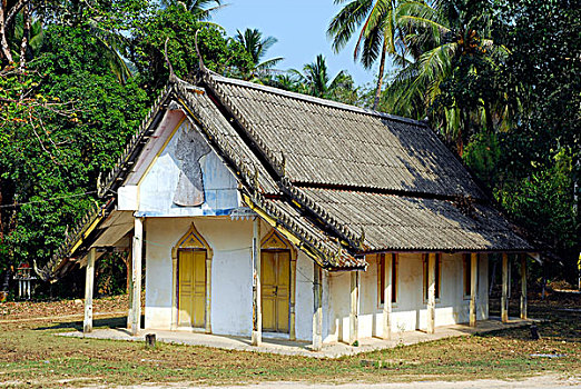 soi bach thu lo