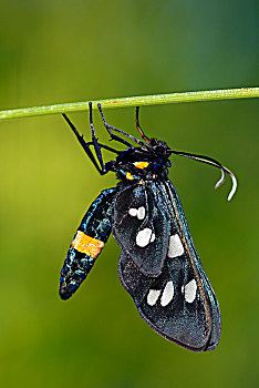 xs đồng tháp
