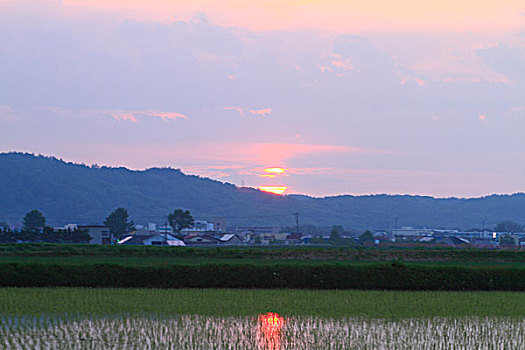 tai da ga sv388