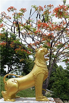 du doan xo so quang ngai