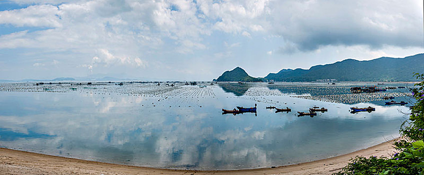 soi cau 100