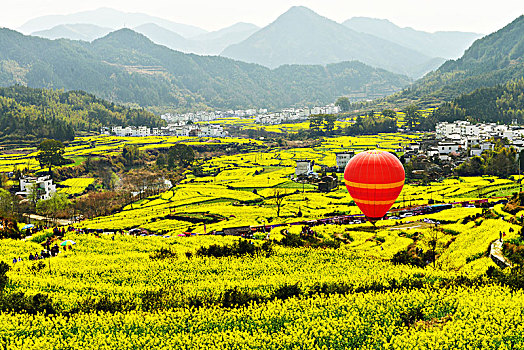 soi cầu online