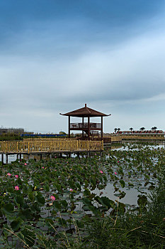 soi câu 24