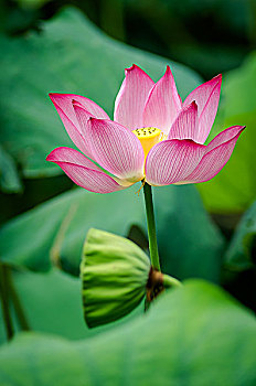 dự đoán xsmb hom nay