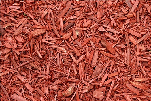 xổ số miền bắc 30 ngày gần đây
