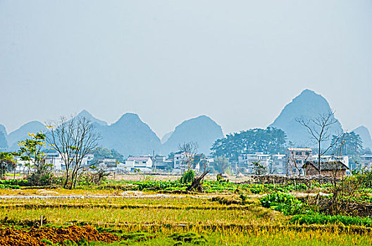 duong link vao m88