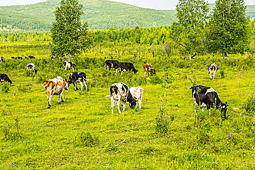 số ba miền